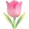 🌷