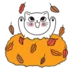 🐱