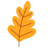 🍂