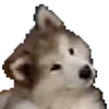 🐶