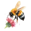 🐝