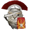 🛡