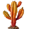 🌵
