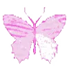 🦋