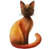 🐱