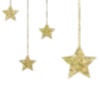 🌟