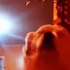 🥳