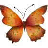 🦋
