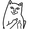 🖕