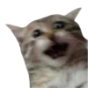 😱