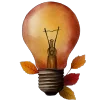 💡