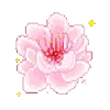 🌸