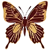 🦋