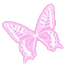 🦋
