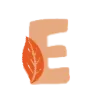 🍂