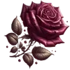 🌹
