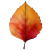 🍁