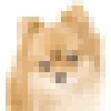 🐶