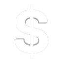 💸