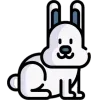 🐇
