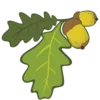 🍃