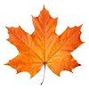🍂