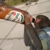 🍺