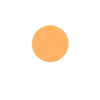 🟠