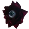👁