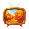 📺