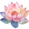 🌺