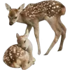 🦌