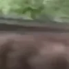 ⭐