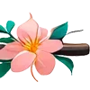 🌸