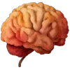 🧠