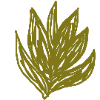 🌿