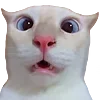 😨