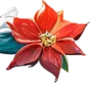🌺