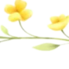 🍋