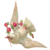 🕊