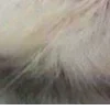 ⭐