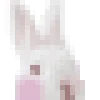 🐰