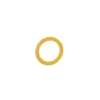 🟡