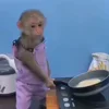 🧑‍🍳