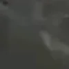 ⭐