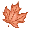 🍁