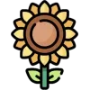 🌻