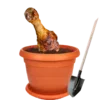 🍗