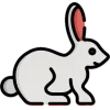 🐇