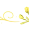 🍋